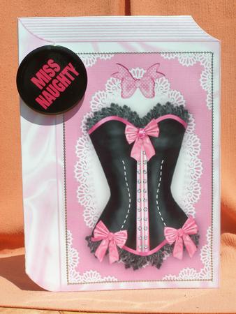 Beautiful Ladies Basque with Bows on Folded Book A4 by Susan Smith