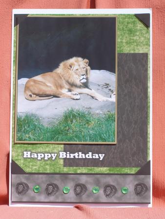 Lion Birthday by Susan Smith