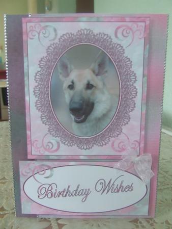 Beautiful Alsatian Topper by Susan Smith