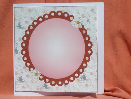 White Daisy Insert by Susan Smith