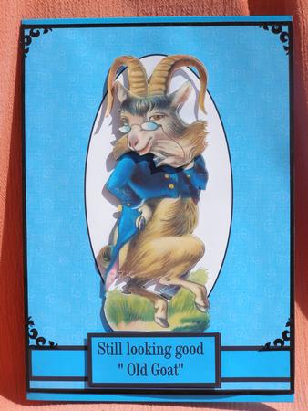Old Goat by Susan Smith