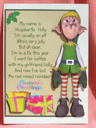 Hugoberttle Holly Christmas by Susan Smith