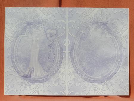 Insert to a Dress for All Seasons by Susan Smith