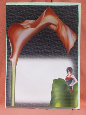 Mysteri Lady A5 Insert by Susan Smith