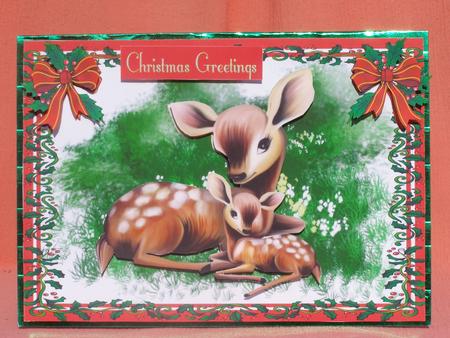 Deer and Faun by Susan Smith