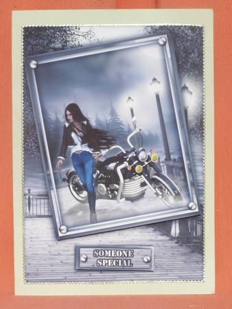 Biker Chick by Susan Smith