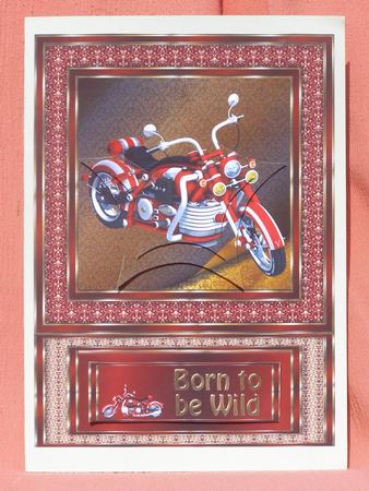 Born to Be Wild Motorbike -best Dad Birthday Wishes Red Gold by Susan Smith