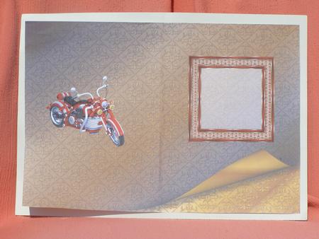 Born to Be Wild Motorbike Insert by Susan Smith
