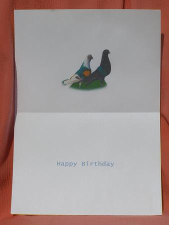 Pigeon Talk Insert by Susan Smith