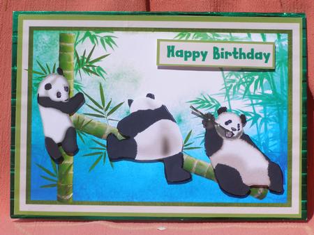 Pandas at Play by Susan Smith