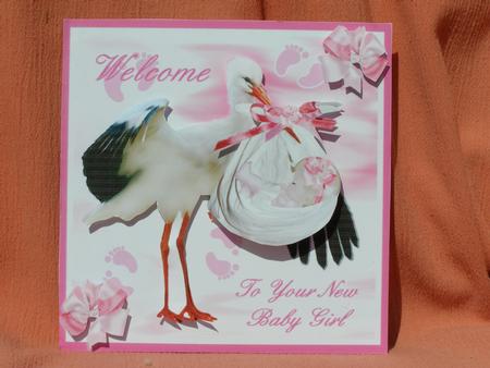 New Baby Girl by Susan Smith