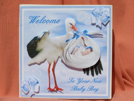 New Baby Boy Step by Step by Susan Smith