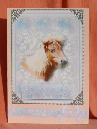 Miniature Pony by Susan Smith