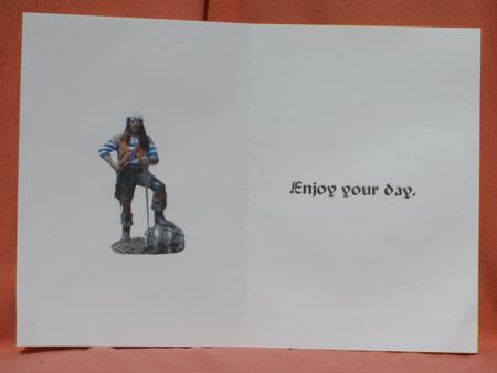 Pirate Revenge Insert by Susan Smith