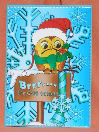 Xmas Olly by Susan Smith