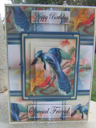 Beautiful Bird by Susan Smith