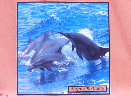 Spinner Dolphins Topper by Susan Smith