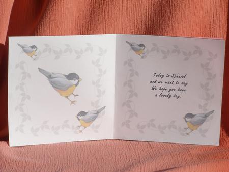 Twitters Delight Birthday Insert by Susan Smith