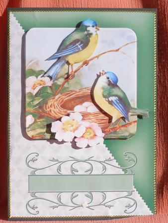 Birdsong Green Diagonal Card Topper by Susan Smith