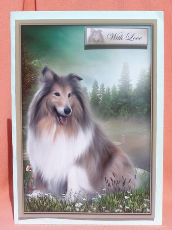 Forever Faithful by Susan Smith
