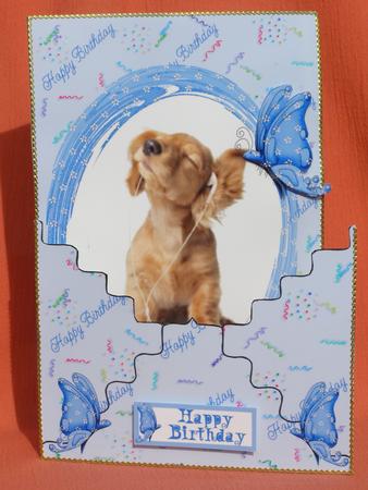 Envelope Card Musical Dog by Susan Smith
