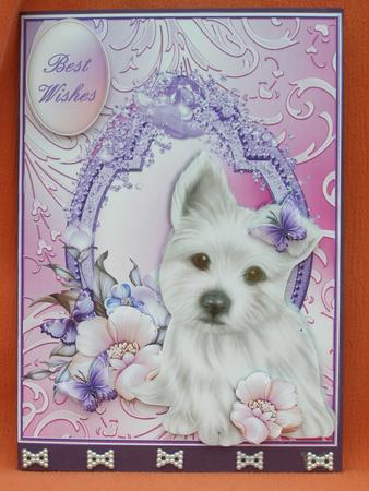 The Playful Puppy by Susan Smith