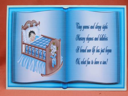 Book Baby Boy by Susan Smith