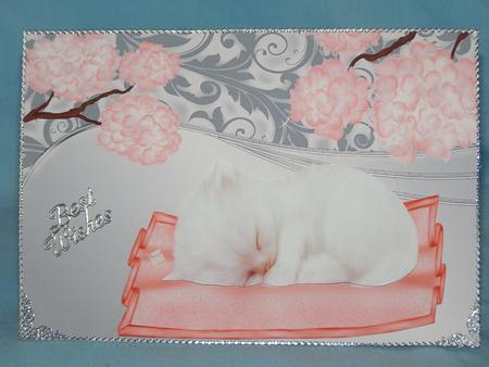 Cute Little Kitten Sleeping with Peach Flowers by Susan Smith