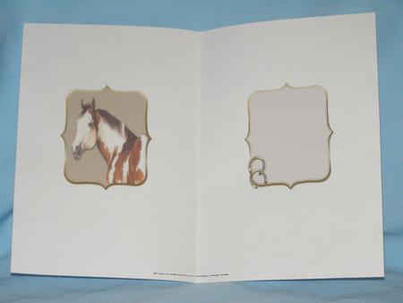 The Pinto Pony Pyramid Insert by Susan Smith