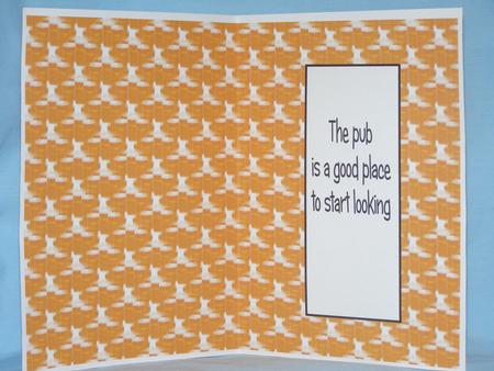 Down the Pub Insert by Susan Smith