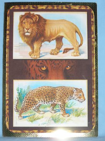 Big Cats Pyramid - Lion, Leopard by Susan Smith