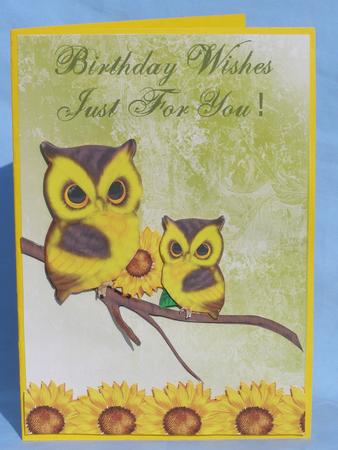 Sweet Little Owl Birthday Step by Step Card by Susan Smith