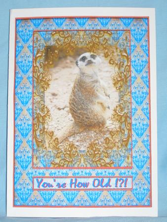 Meerkat Not Another Birthday! Pyramid by Susan Smith