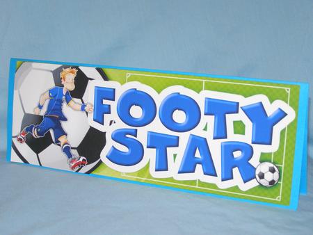 Scotland Footy Star Large Dl by Susan Smith