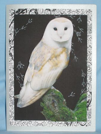 Owl at Rest Mini Kit by Susan Smith