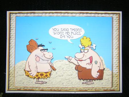 No Flies on You Card Front by Susan Smith
