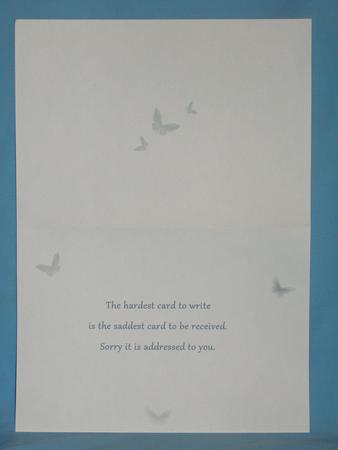 When Darkness Falls Insert by Susan Smith