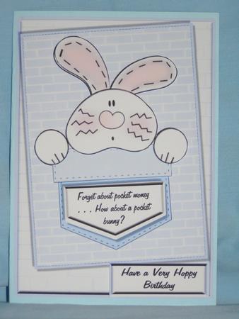 Forget Pocket Money - Have a Pocket Bunny! by Susan Smith