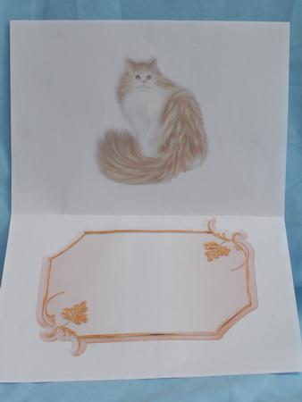 Callico Cat Is by Susan Smith