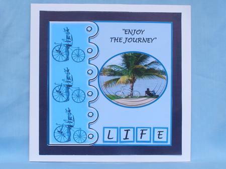 Bike/life by Susan Smith