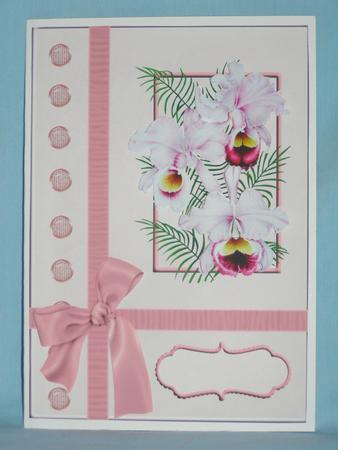 Pink Orchids Card Front by Susan Smith