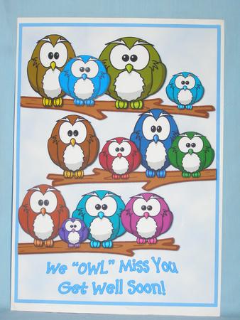 Owls A4 Get Well Soon Minikit by Susan Smith