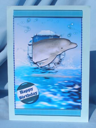 Dolphins Ripped Birthday by Susan Smith