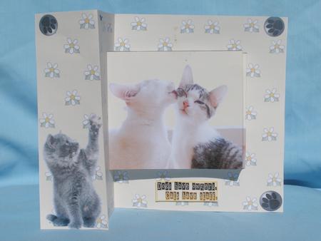 Pop Out Kittens by Susan Smith