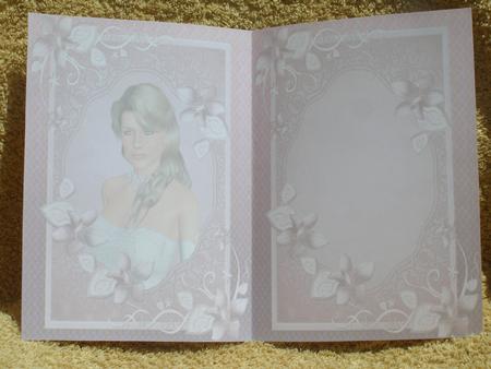 Portrait of a Lady Insert by Susan Smith