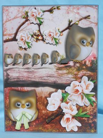 Female Birthday Card or Special Occasion by Susan Smith