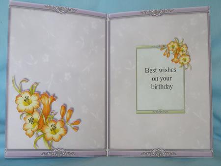 Female Insert by Susan Smith