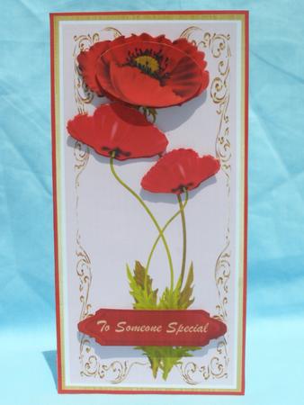 Lovely D.l.red Poppys and Incert by Susan Smith