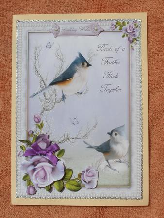 Birds of a Feather Flock Together by Susan Smith