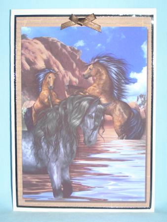 Wild Mustang Horses by Susan Smith